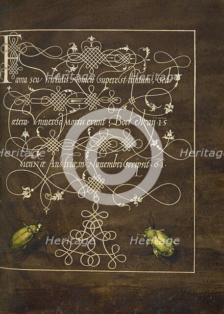 Ground Beetle and Scarab; Mira calligraphiae monumenta, 1561-1562; illumination added 1591-1596. Creator: Joris Hoefnagel.