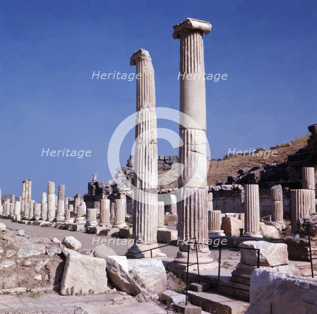 Columns from the ruins of Ephesus.