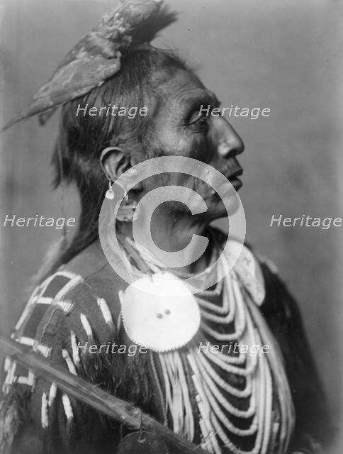 Medicine Crow-Apsaroke, c1908. Creator: Edward Sheriff Curtis.