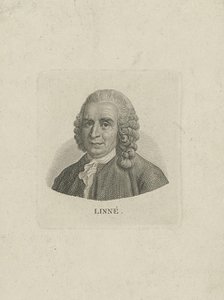 Portrait of Carl Linnaeus (1707-1778), c. 1780. Creator: Anonymous.