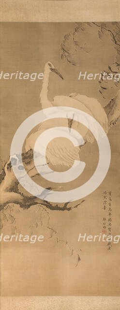 Four egrets on a branch, between 1730 and 1740. Creator: Pei Zheng.