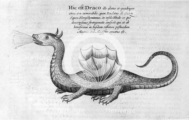 Dragon, 1678. Artist: Athanasius Kircher