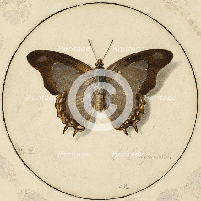 L'Endymien, n.d. Creator: Jean Louis Ernest Meissonier.