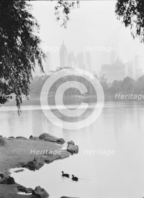New York City views, Central Park, between 1931 and 1938. Creator: Arnold Genthe.