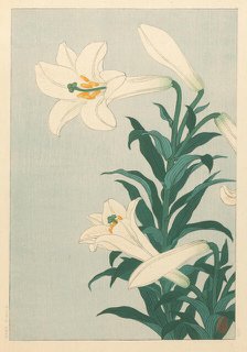 Lilies. Creator: Ohara, Koson (1877-1945).