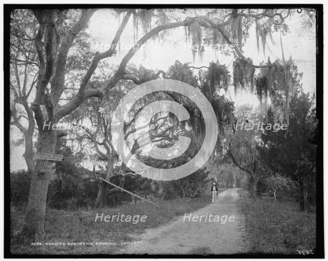Road to Bostrom's, Ormond, between 1880 and 1897. Creator: William H. Jackson.
