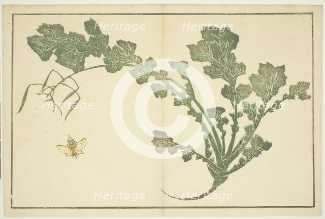 Wasp and turnip stalk, from "The Picture Book of Realistic Paintings of Hokusai...", Japan, c. 1814. Creator: Hokusai.