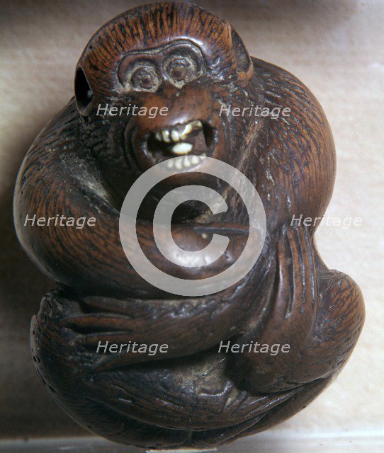 Japanese Netsuke of a monkey, 19th century. Artist: Unknown