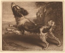 A Spaniel Jumping, 1680. Creator: Jan Verkolje.