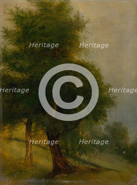 Trees on a slope, 1870-1880. Creator: Jozef Bozetech Klemens.