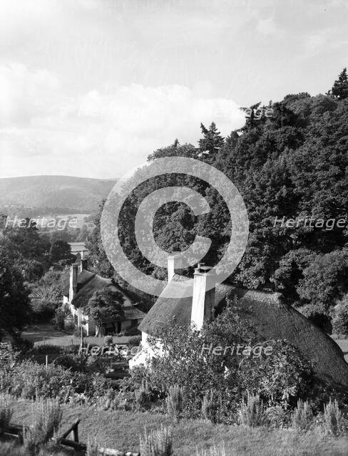 Selworthy, Somerset, c1955. Creator: Arthur Charles Kirby Ware.