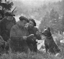 'Skieurs et chiens de guerre dans les neiges vosgiennes; Arrivee d'un chien de liaison..., 1916. Creator: Unknown.