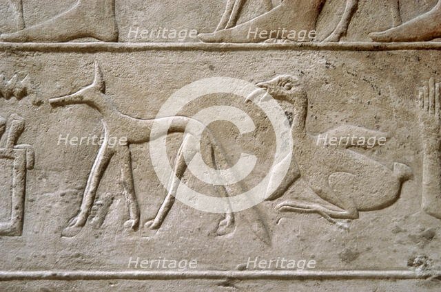 Duck and jackal, Hieroglyphic characters, Mastaba of Kagemni, Saqqara, Egypt, 2350 BC (2003). Creator: Unknown.