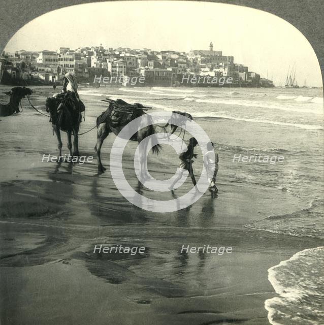 'Jaffa, the Joppa of Bible Times, Palestine', c1930s. Creator: Unknown.