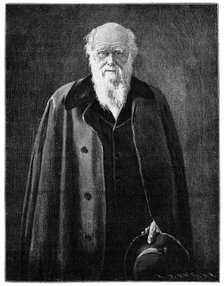 Charles Darwin, renowned naturalist and thinker, (1900) Artist: Unknown