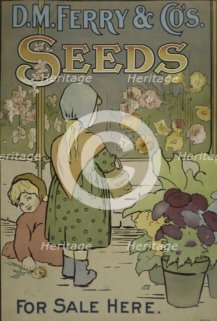 D. M. Ferry & Co's. seeds, c1895 - 1917. Creator: Unknown.
