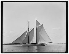 Mayflower, 1889 July 15. Creator: Unknown.