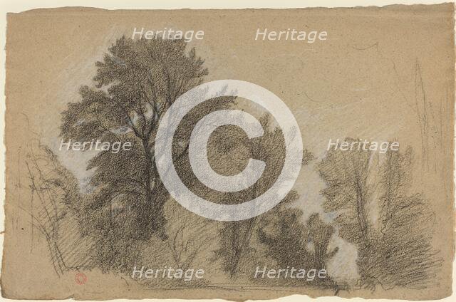 Edge of a Wood, c. 1840. Creator: Jean Achille Benouville.