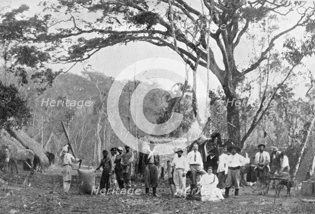 Paraguayan tea gathering, Paraguay, 1911. Artist: Unknown