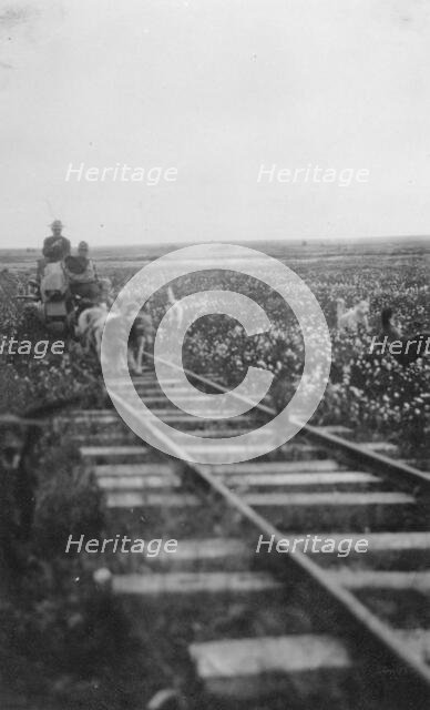 Pupmobile, between c1900 and 1916. Creator: Unknown.