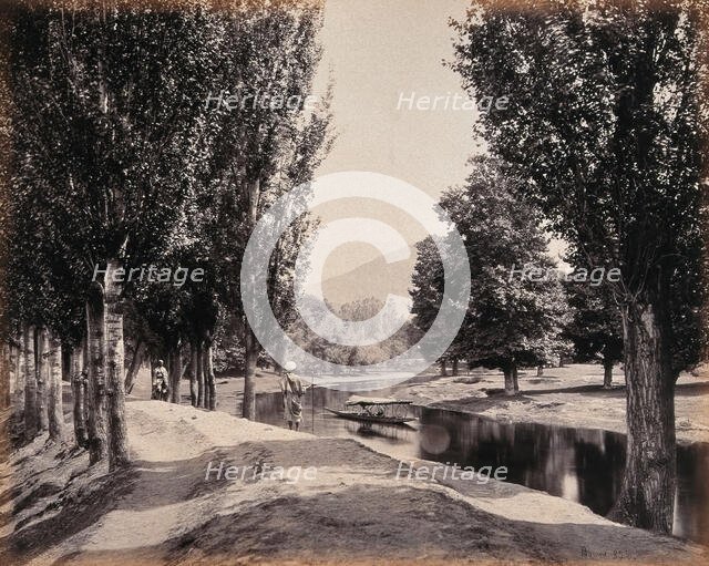 Kashmir: a tree-lined path by a canal, c1870s. Creator: Samuel Bourne.