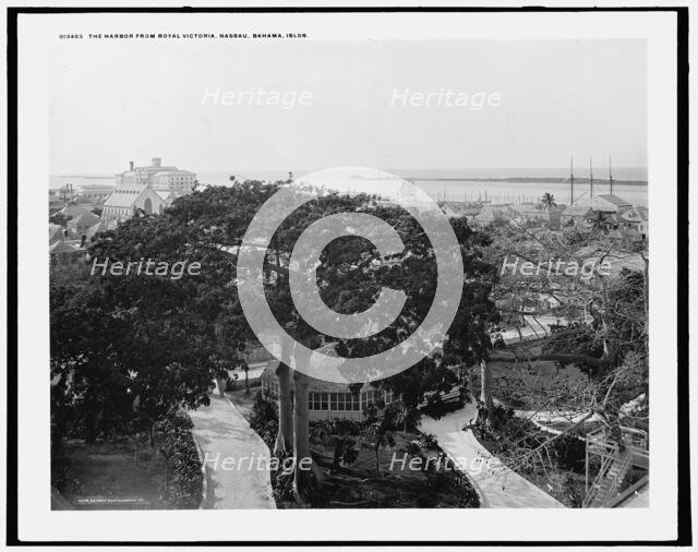 Harbor from Royal Victoria Hotel, Nassau, Bahama Islds., c1901. Creator: William H. Jackson.