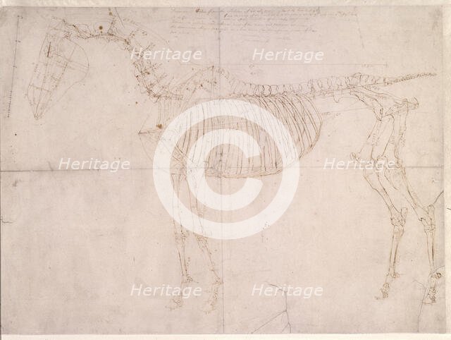 Measured working drawing for 'The First Anatomical Table of the Skeleton of the Horse', 1756. Creator: George Stubbs.