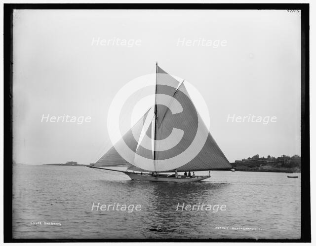 Gossoon, between 1880 and 1899. Creator: Unknown.