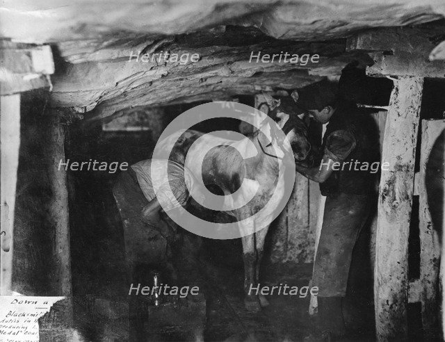 A blacksmith and his striker attending a pit pony, Clay Cross Colliery, Derbyshire, c1910. Artist: Albert Heath