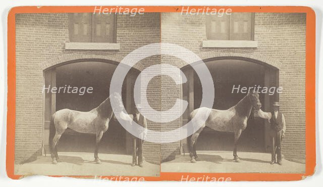 Untitled, [horse and groom], 1875/99.  Creator: Unknown.