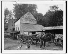 A Farm yard, Germantown, Pa., c.between 1900 and 1906. Creator: Unknown.