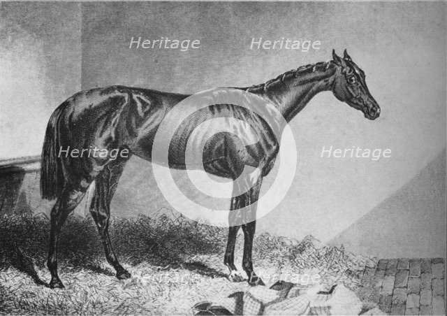 'Mendicant', 19th century, (1911). Artist: Unknown.