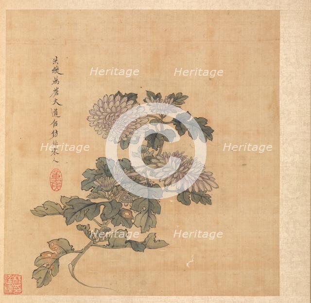 Paintings after Ancient Masters: Chrysanthemum, 1598-1652. Creator: Chen Hongshou (Chinese, 1598/99-1652).