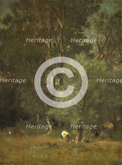 View in the Woods, 1840-1889. Creator: Jules Dupré.