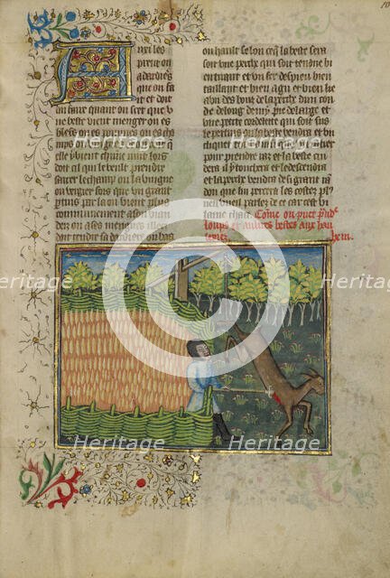 A Deer Caught in a Foot Trap; Livre de la Chasse, about 1430-1440. Creator: Unknown.