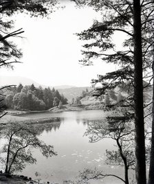 Tarn Hows, Lake District, c1955. Creator: Arthur Charles Kirby Ware.
