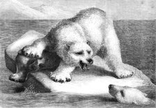 A Disputed Claim, 1881. Creator: Ludwig Beckmann.