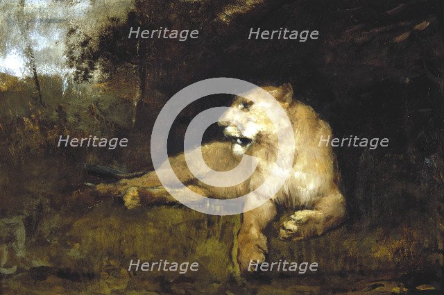 'A Lioness', c1867-1910. Artist: John MacAllan Swan