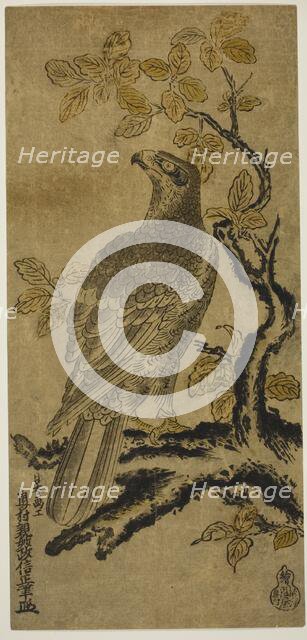 A Hawk on a Kiri Tree, c. 1720/25. Creator: Okumura Masanobu.