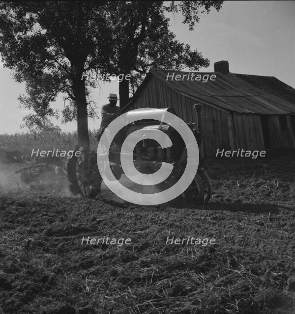 Tractor and driver on the Aldridge Plantation, Mississippi, 1937. Creator: Dorothea Lange.