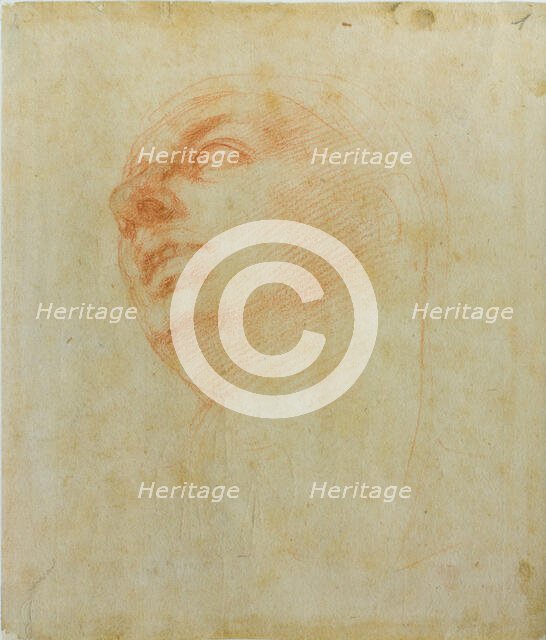 Study of a head, c 1504. Creator: Buonarroti, Michelangelo (1475-1564).