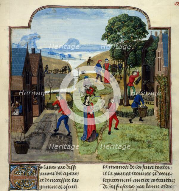 Agricultural labours, late 15th century.  Creator: Unknown.