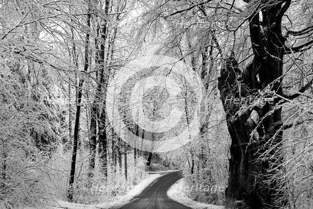 Scandinavian Winter. Creator: Dorte Verner.