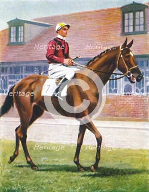 Senor, Jockey: J. Crouch', 1939. Artist: Unknown.