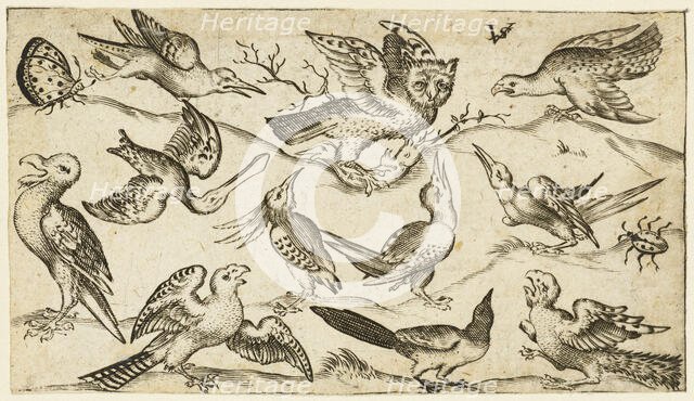 Eleven birds and two insects on minimal ground with owl with wings outstretched..., 1572.  Creator: Virgil Solis.