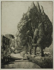 The Cypress Grove, 1904. Creator: Donald Shaw MacLaughlan.