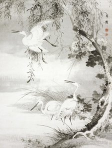 Herons and Willow, 19th century. Creator: Oda Kaisen.