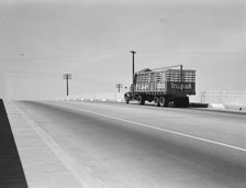 Overpass on U.S. 99, between Tulare and Fresno, California, 1939. Creator: Dorothea Lange.