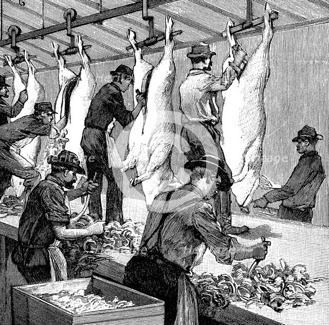 Armour Company's pig slaughterhouse, Chicago, Illinois, USA, 1892. Artist: Unknown