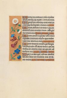 Hours of Queen Isabella the Catholic, Queen of Spain: Fol. 243v, c. 1500. Creator: Master of the First Prayerbook of Maximillian (Flemish, c. 1444-1519); Associates, and.